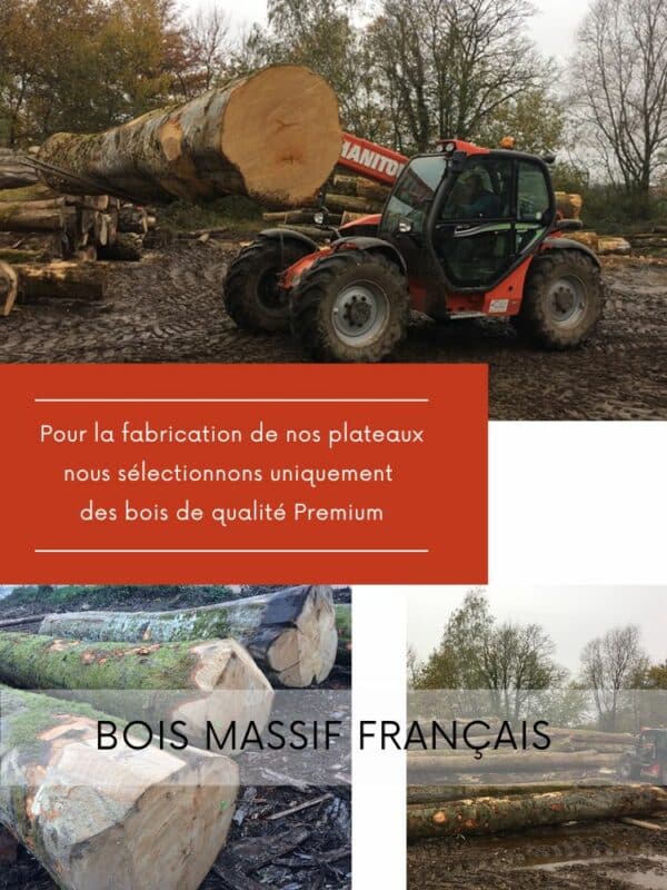 sélection des troncs d'arbres dans une Forêt Française
