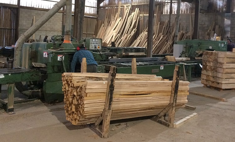 Débit des troncs d'arbres afin de former des planches de bois massif Premium